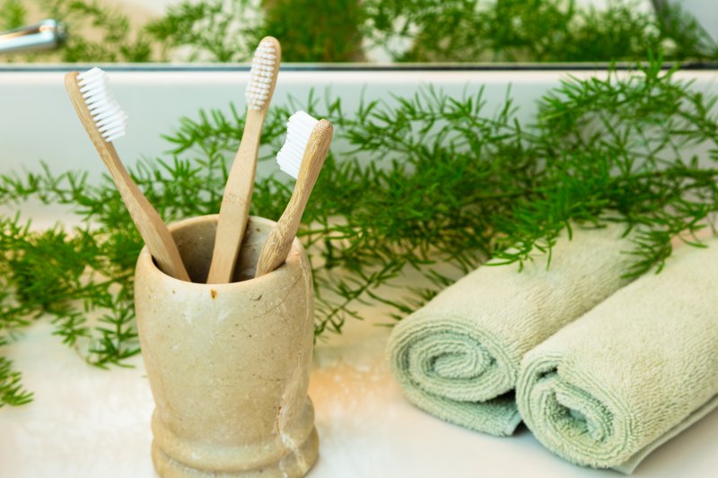 Toothbrushes in holder